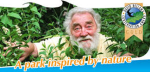 PicOfDavidBellamy