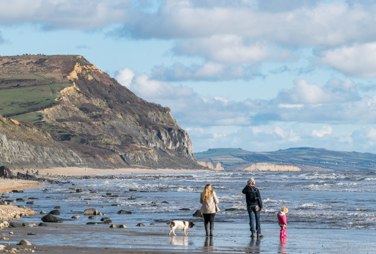 the beach at charmouth