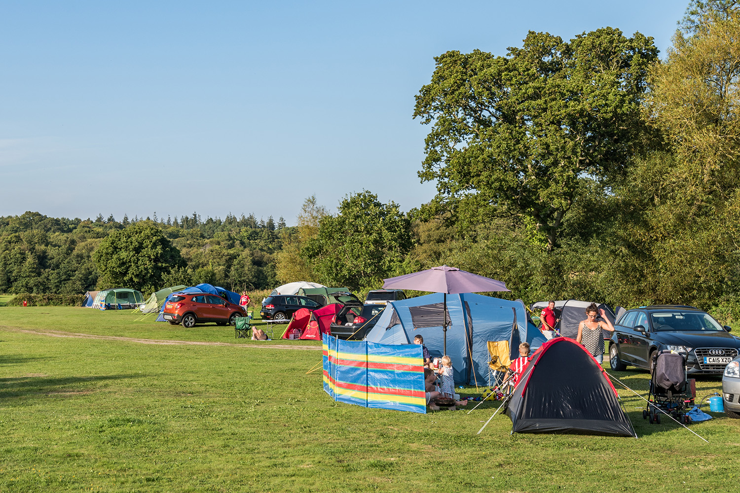 Camping Holidays in Dorset