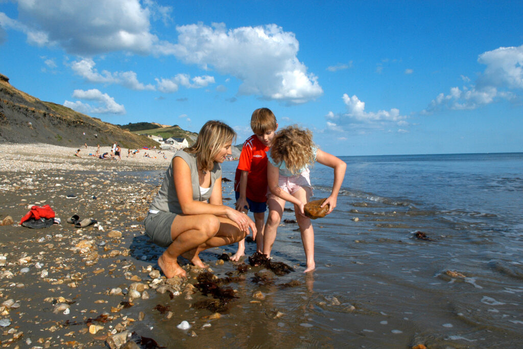 Fossil Hunting in Dorset
