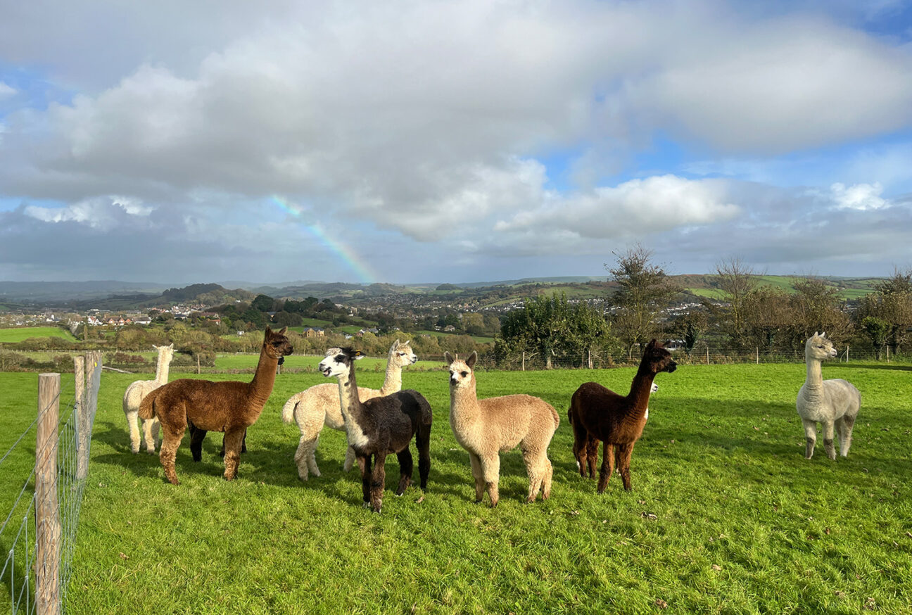 West Dorset Leisure Holidays