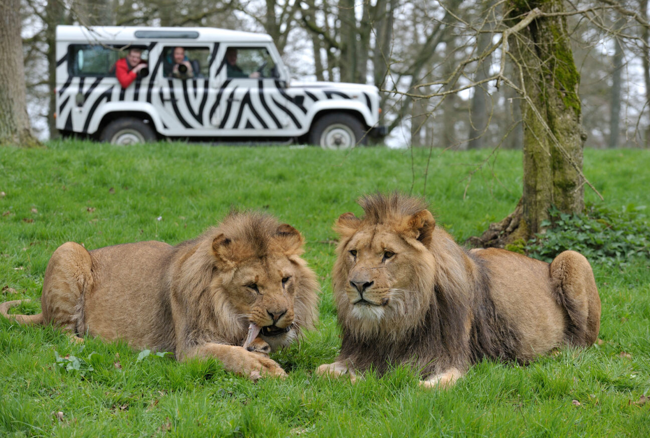 Longleat