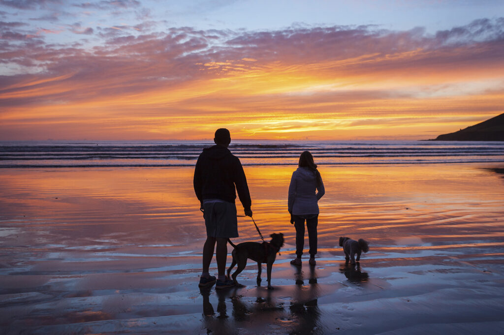 Beach sunset.