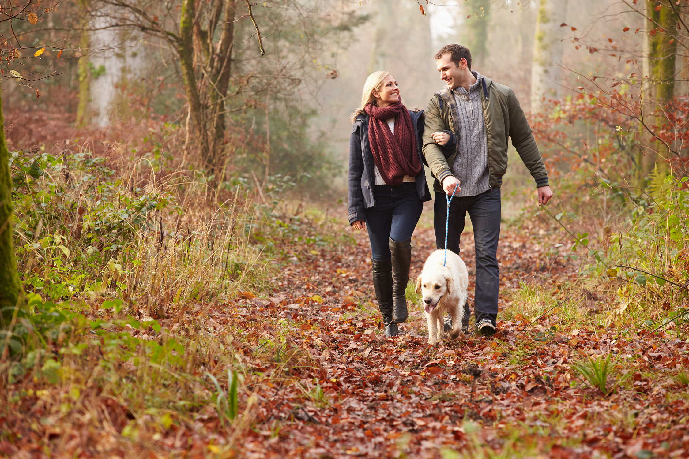 West Dorset Leisure Holidays