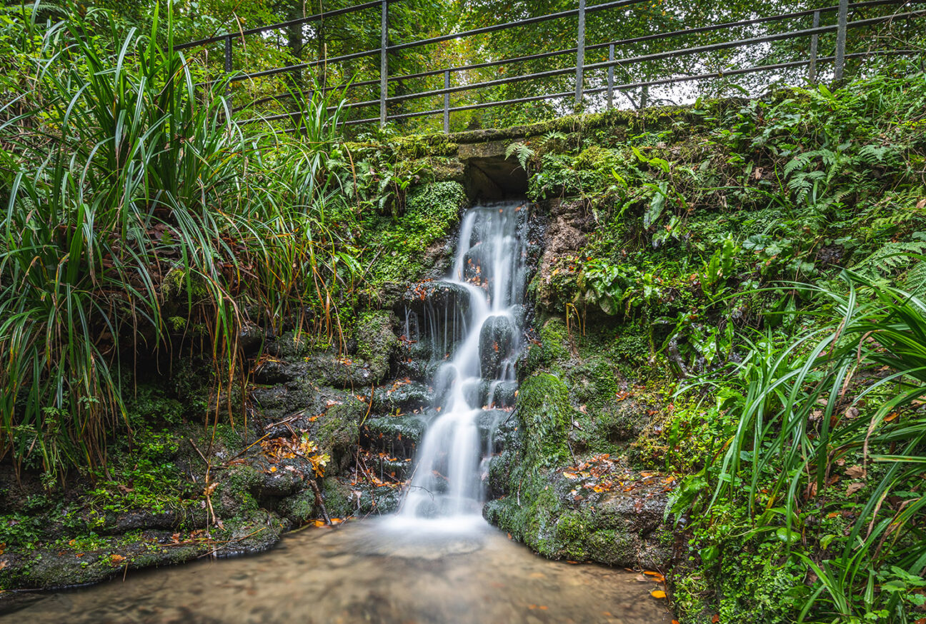 West Dorset Leisure Holidays