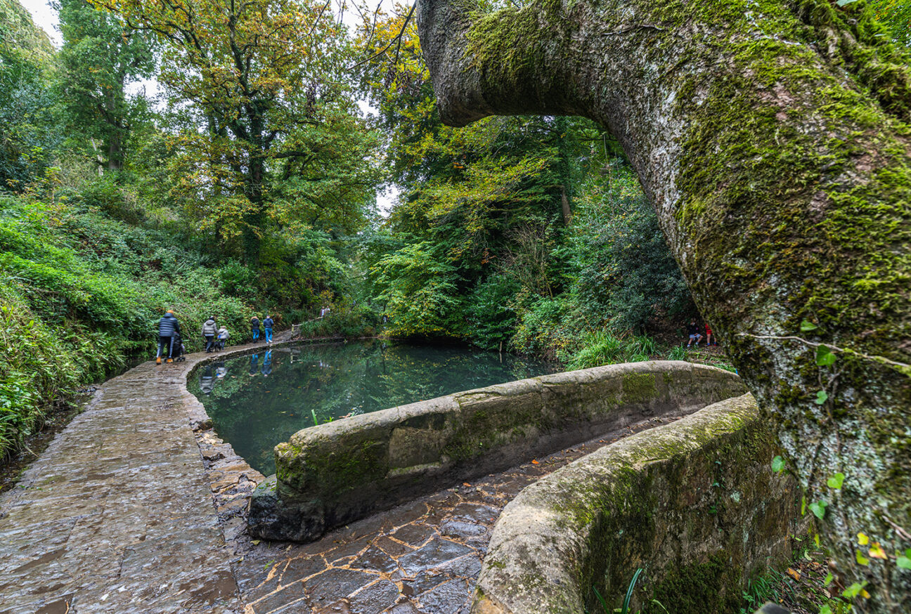West Dorset Leisure Holidays