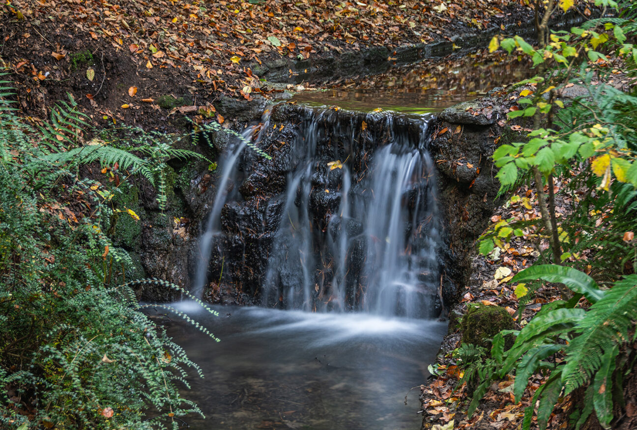 West Dorset Leisure Holidays