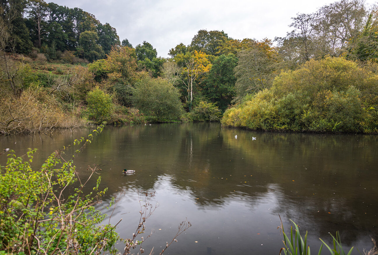 West Dorset Leisure Holidays