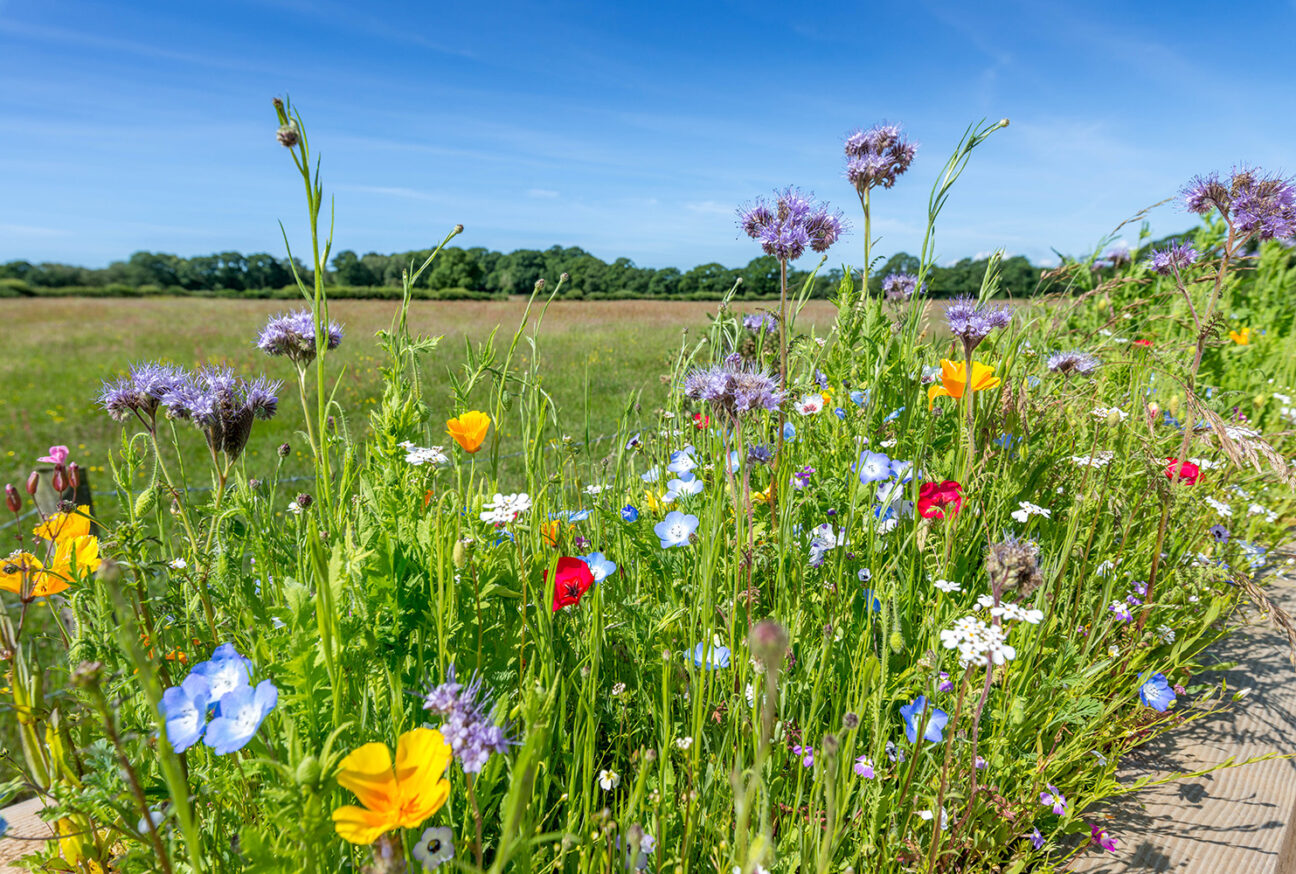 West Dorset Leisure Holidays