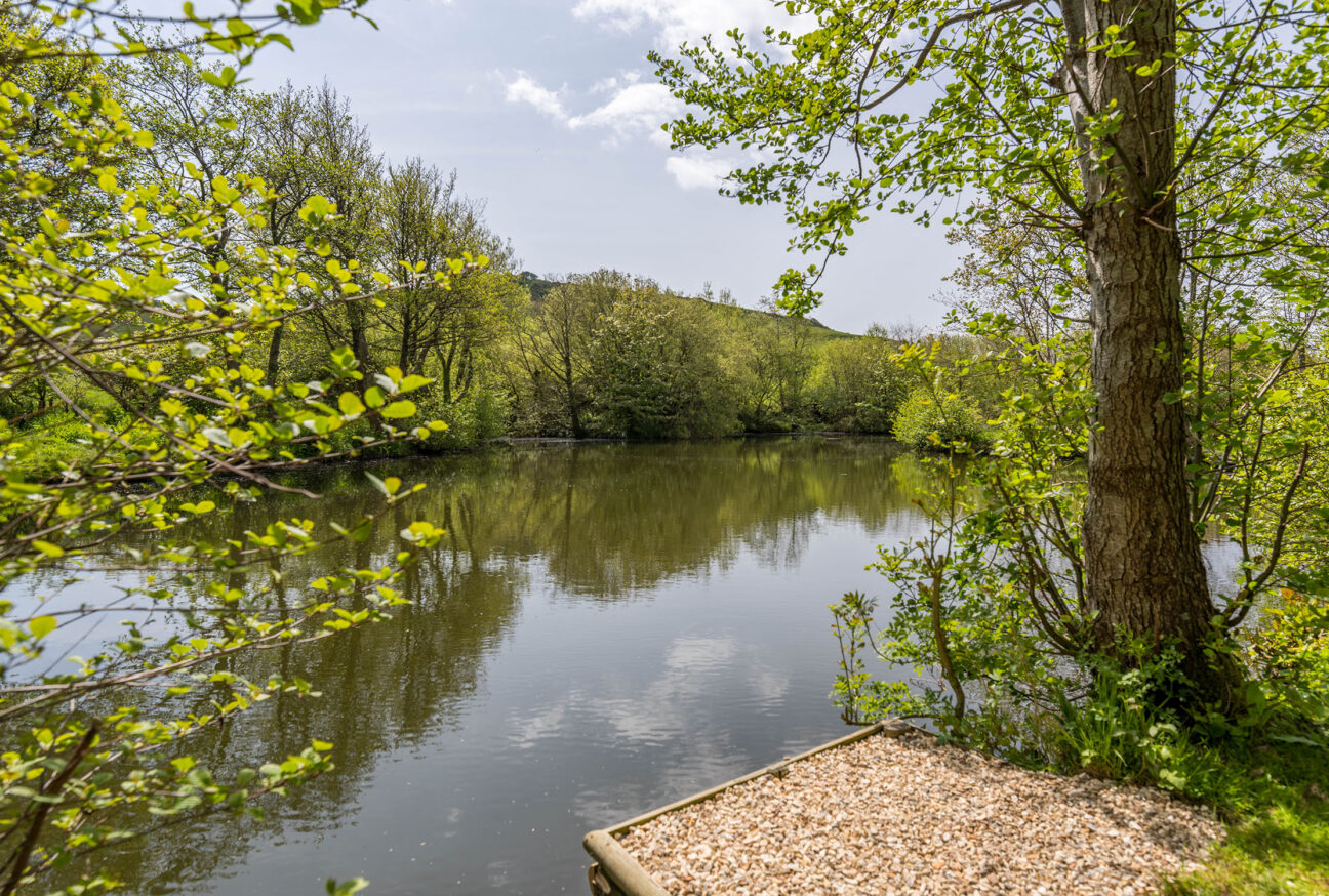 fishing swim at lake frances golden cap holiday park