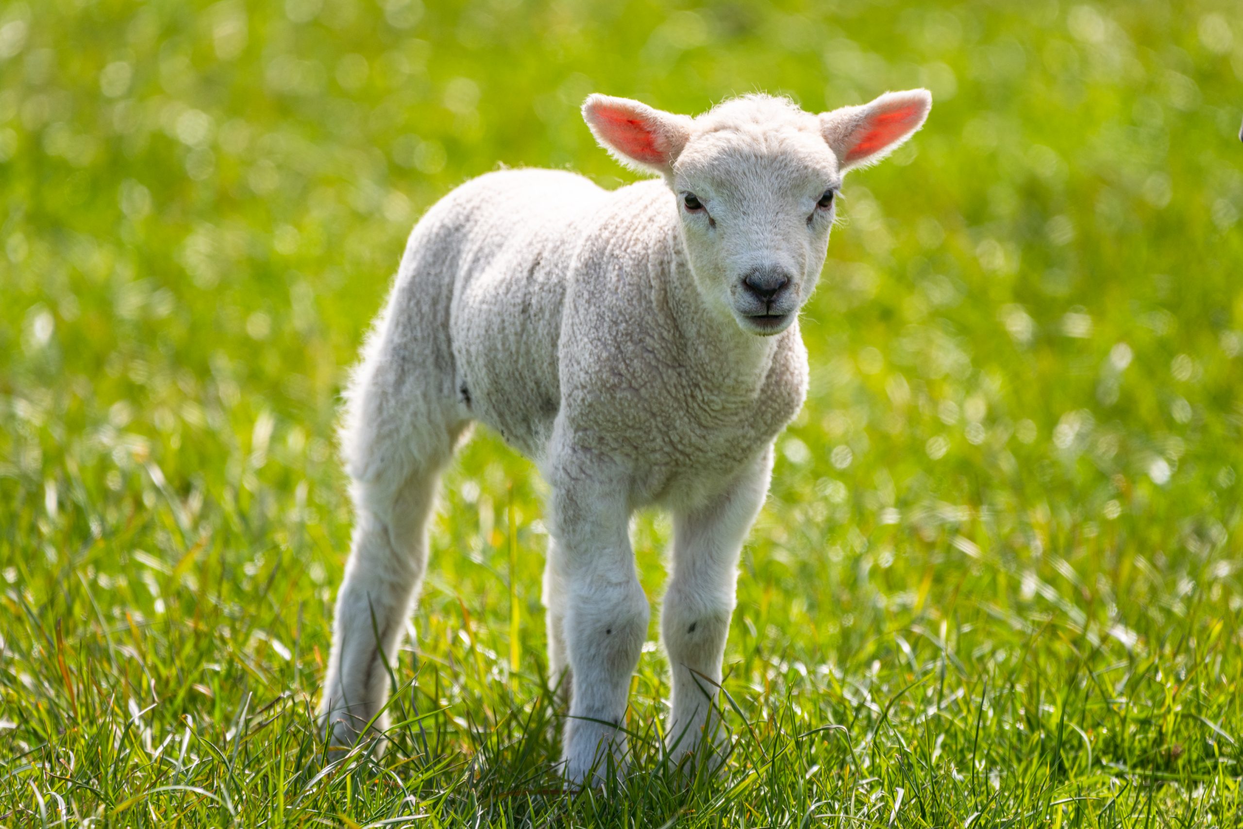 West Dorset Leisure Holidays