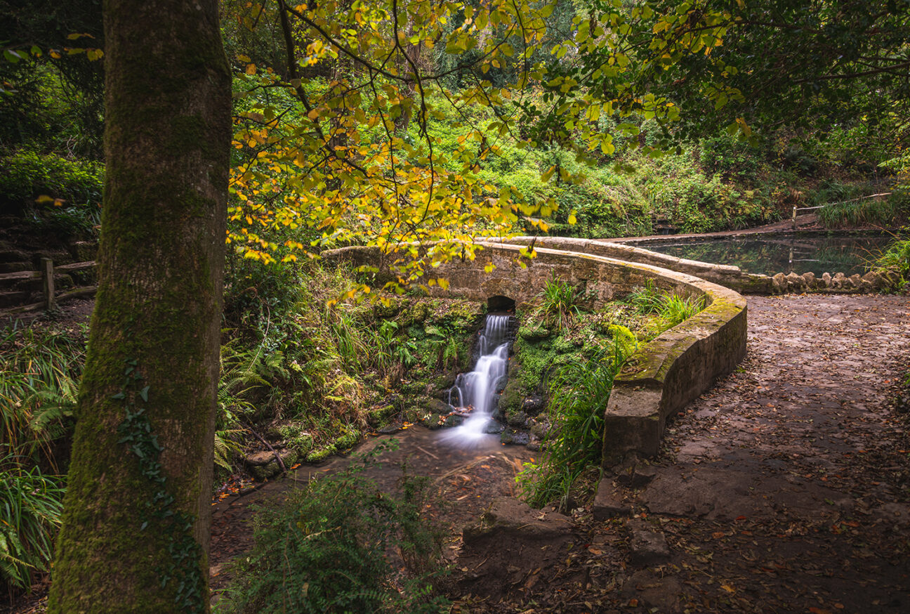 West Dorset Leisure Holidays