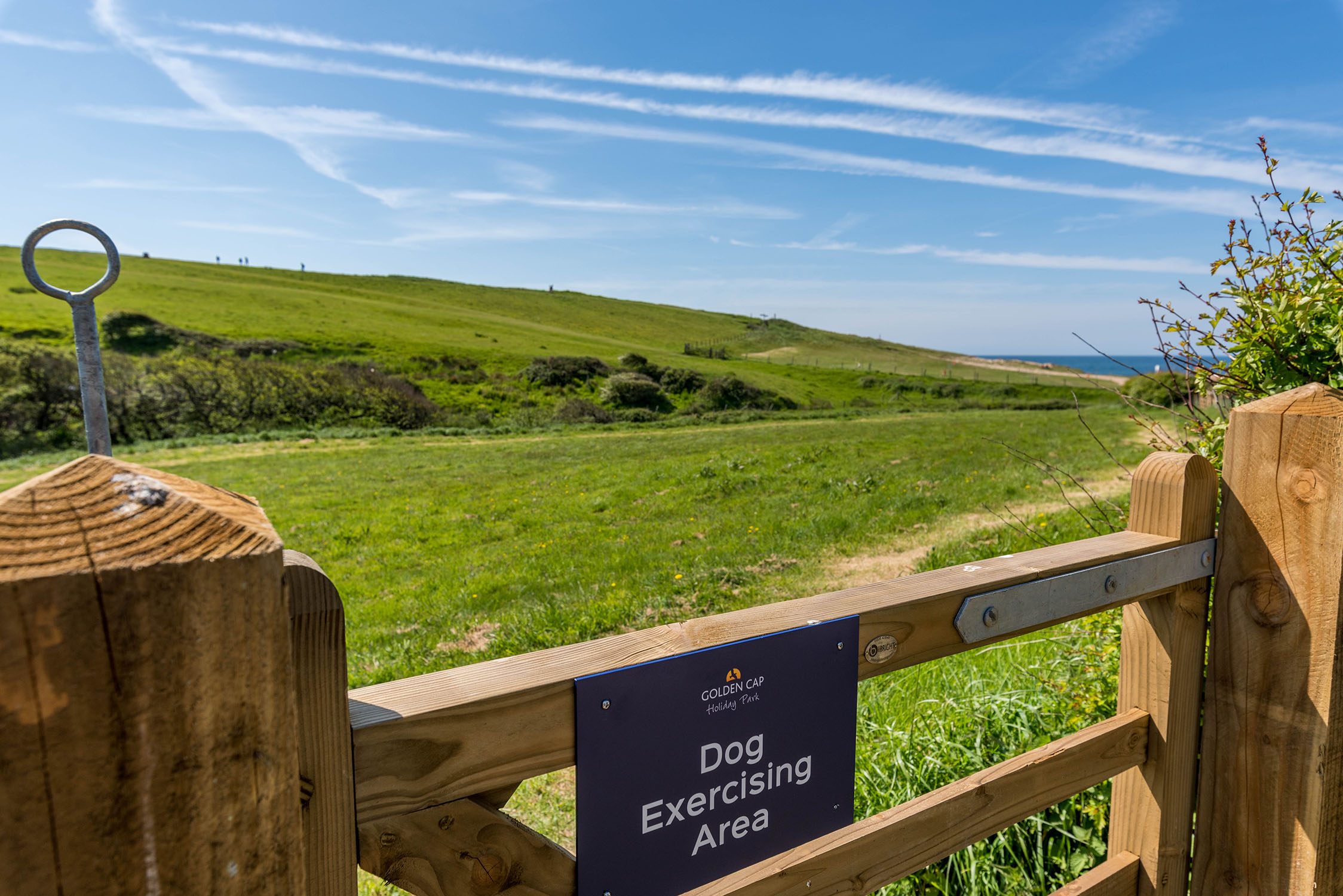 dog exercise area sign and secure gate