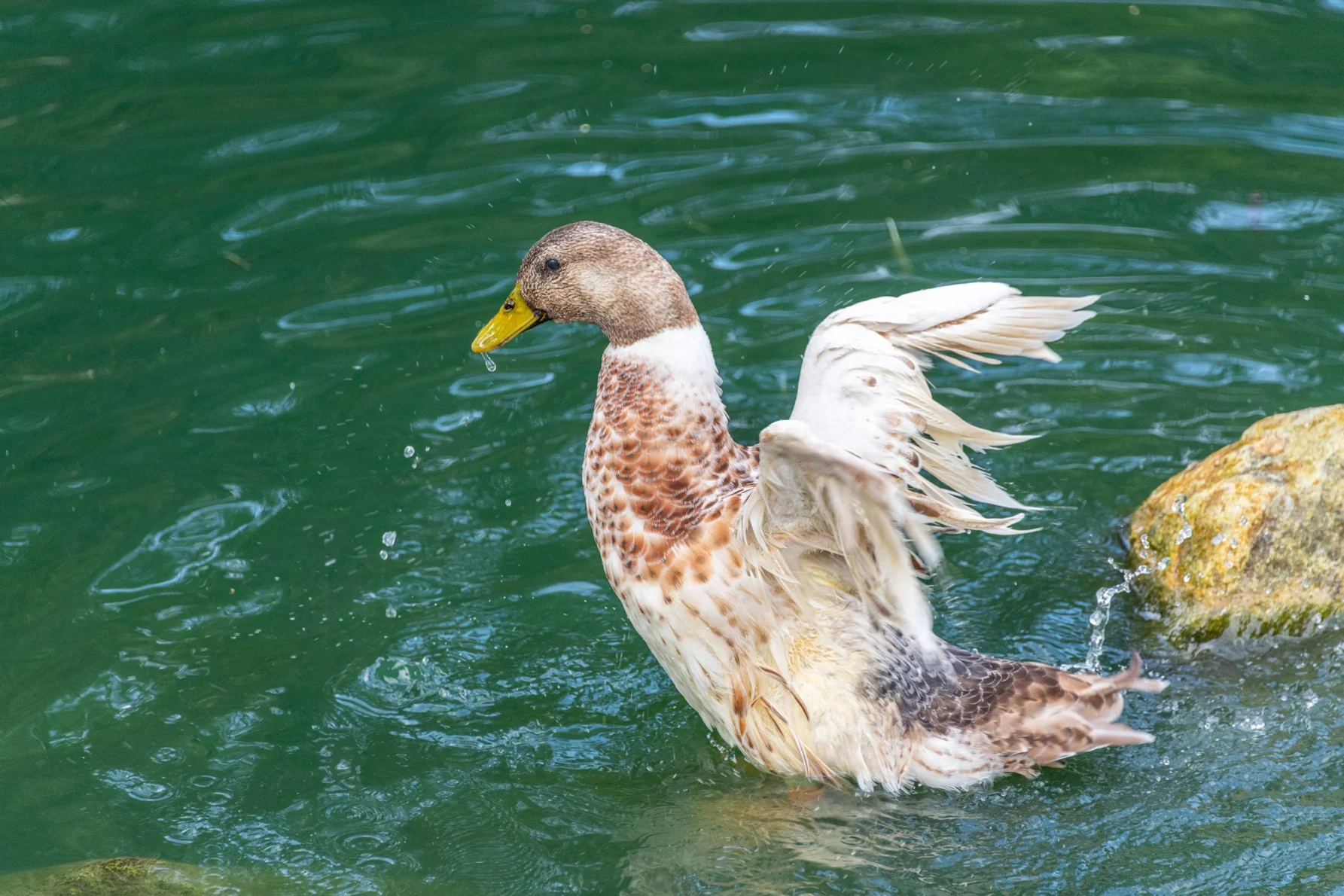 West Dorset Leisure Holidays