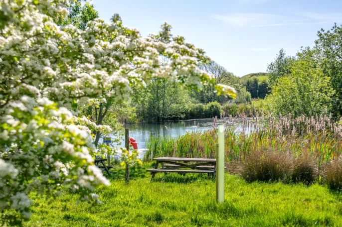 West Dorset Leisure Holidays