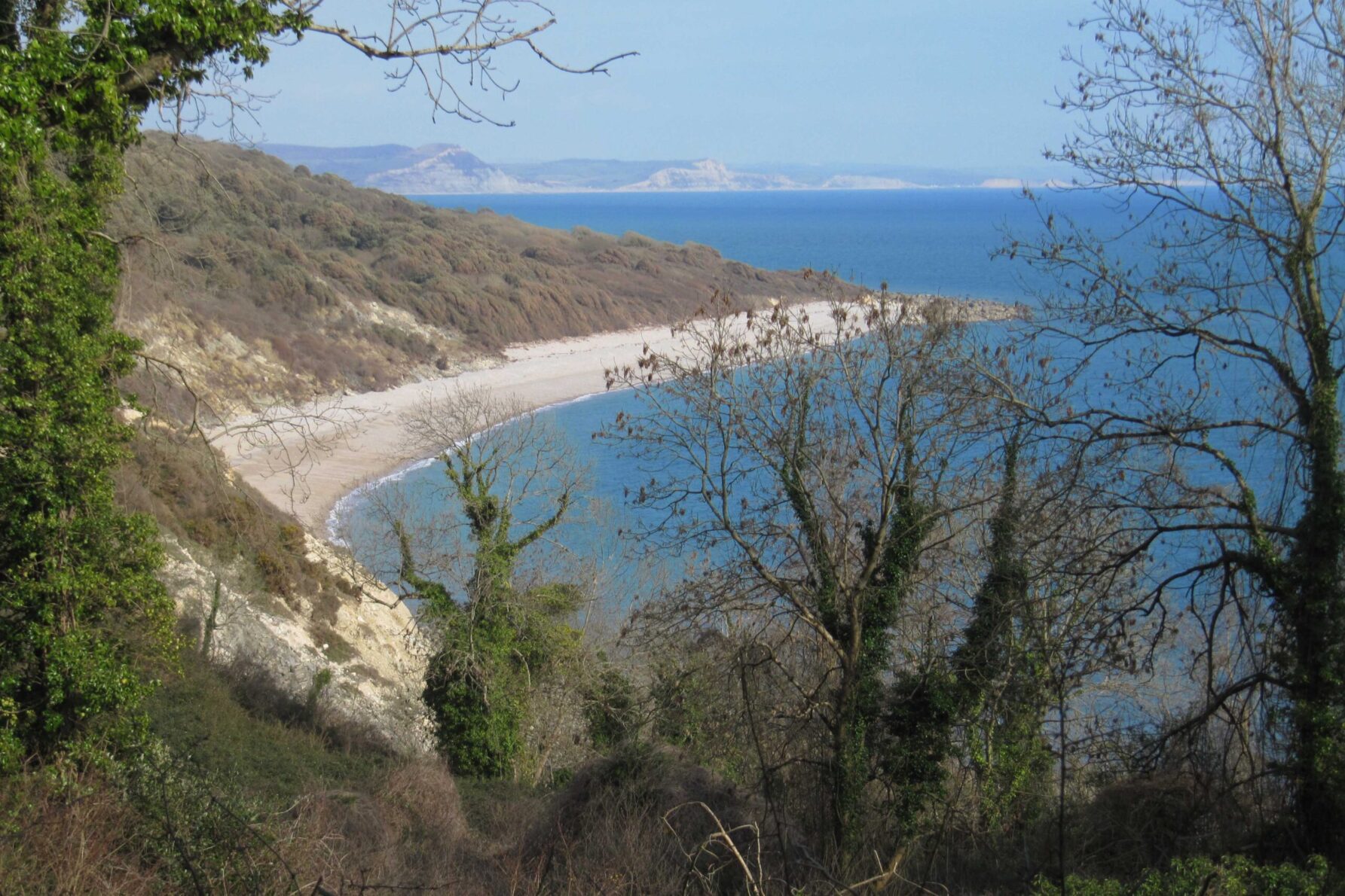 undercliff walk lyme regis