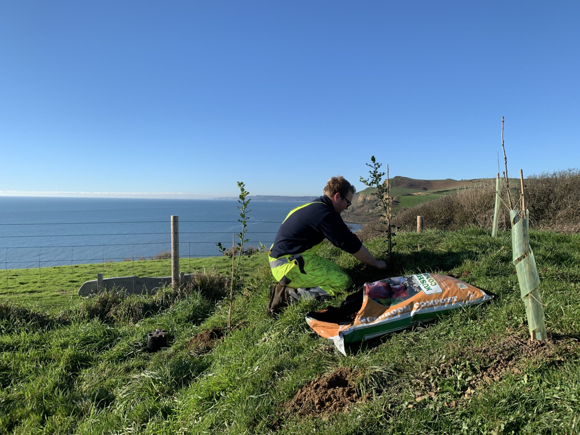 planting trees on the jurassic coast at highlands end holiday park