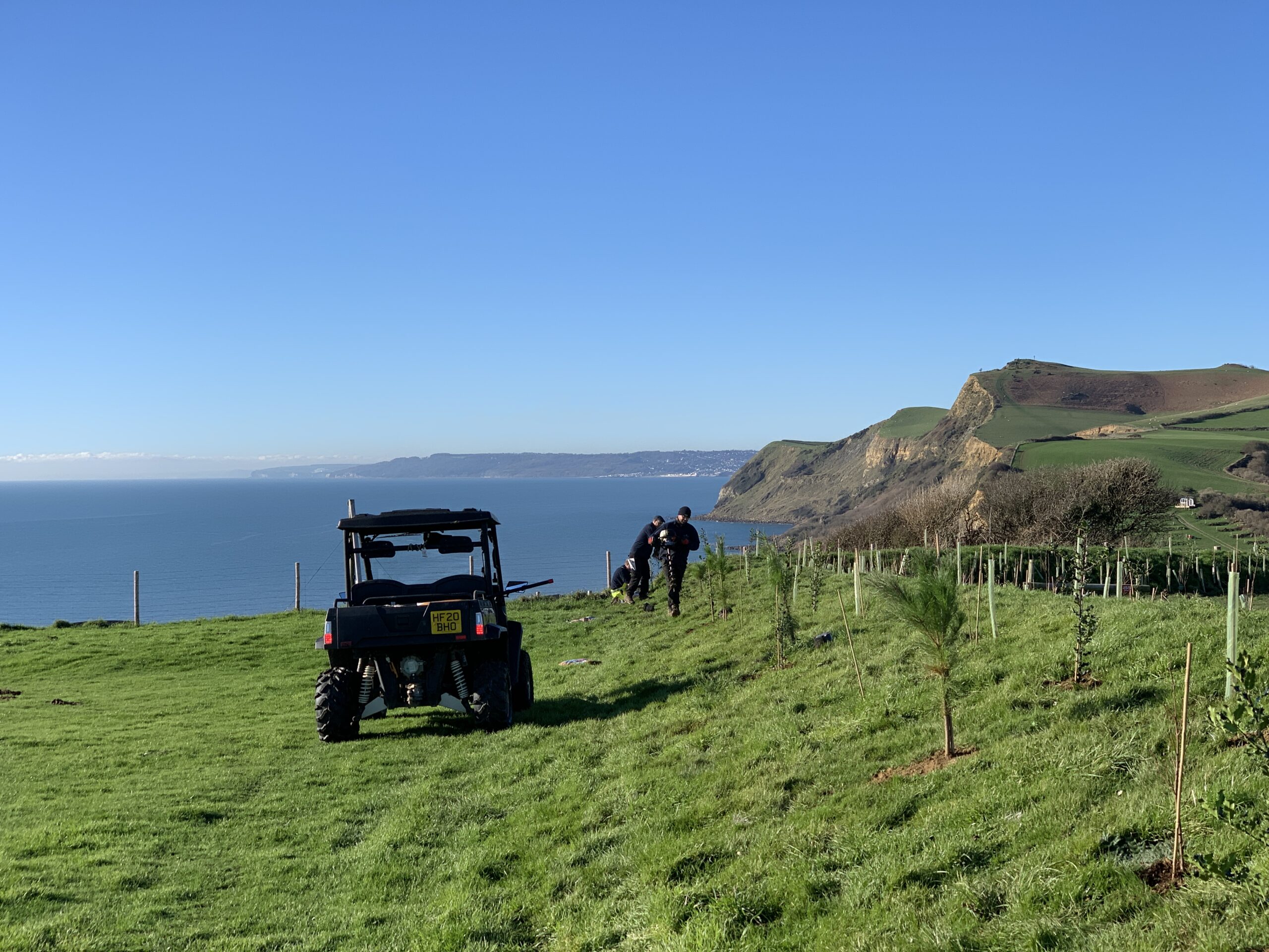 planting trees at highlands end holiday park overlooking the jurassic coast