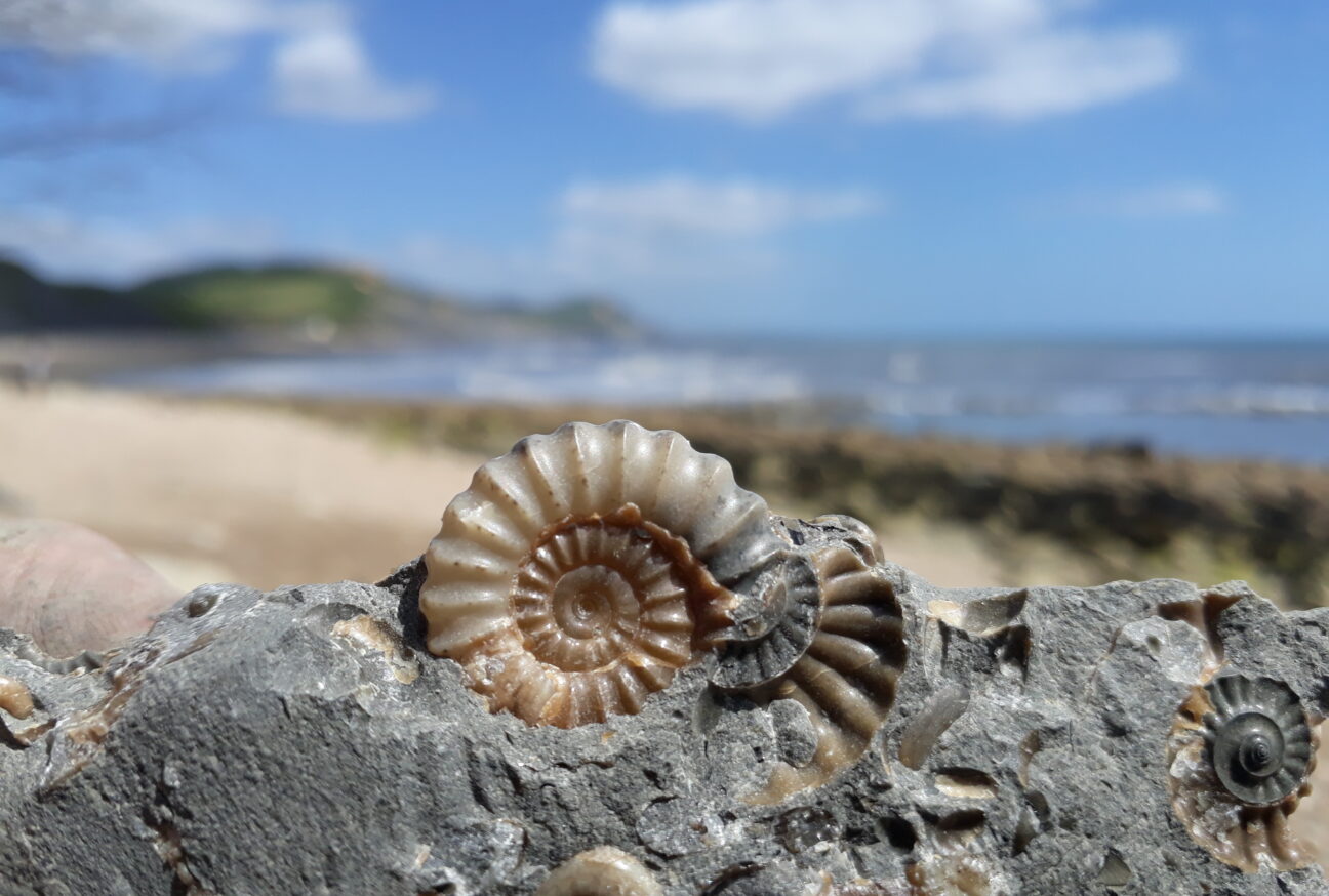 West Dorset Leisure Holidays