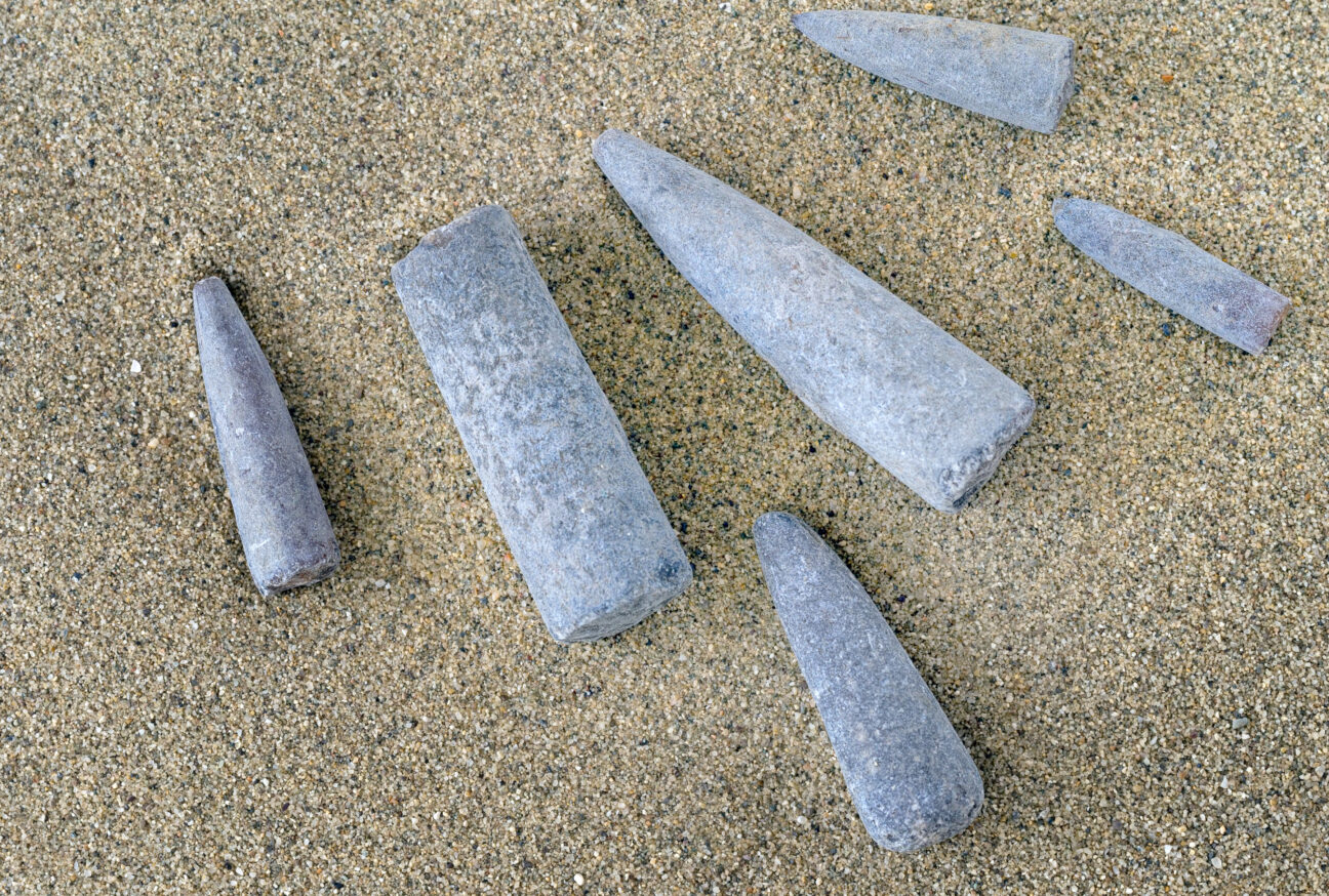 Belemnite fossils on sand