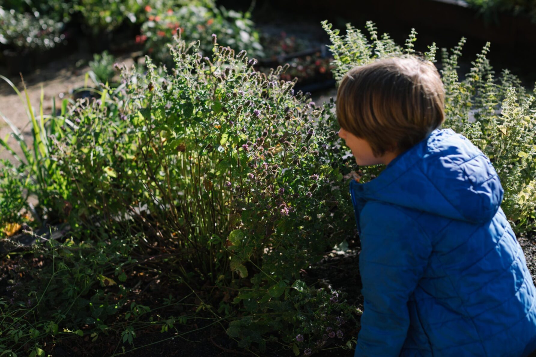 child at carey's secret garden