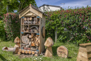 bug hotel 2
