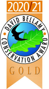 David Bellamy 2020-21-gold