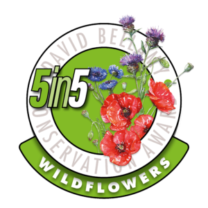 David Bellamy Wildflower Award 2019-20