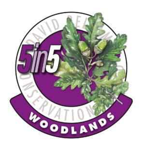 David Bellamy Woodlands Award 2019-20 logo