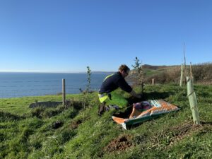 groundsman planting trees at west dorset leisure holidays