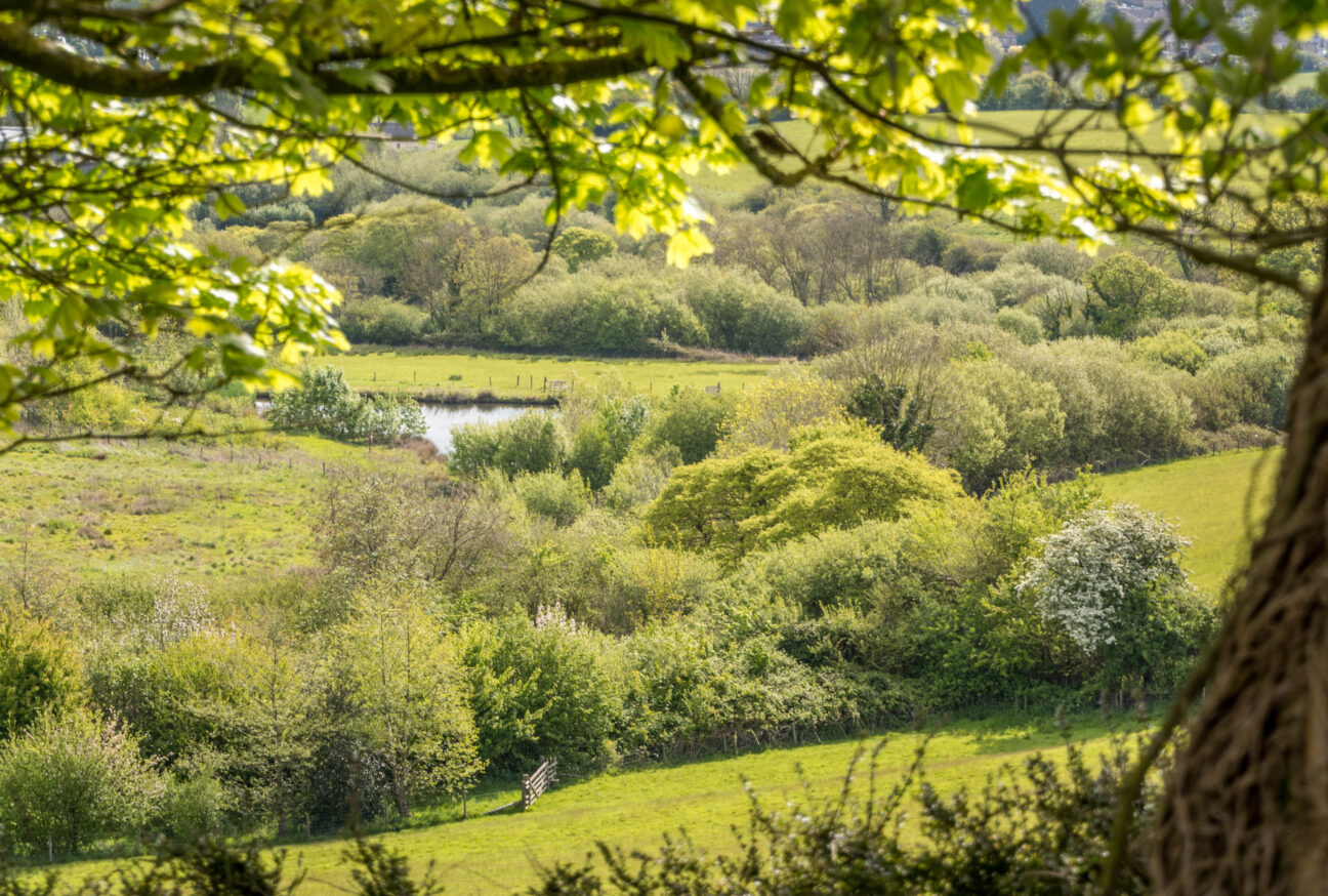 highlands end nature trail