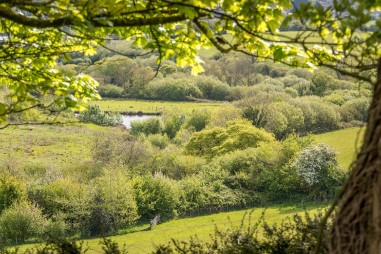 highlands end nature trail
