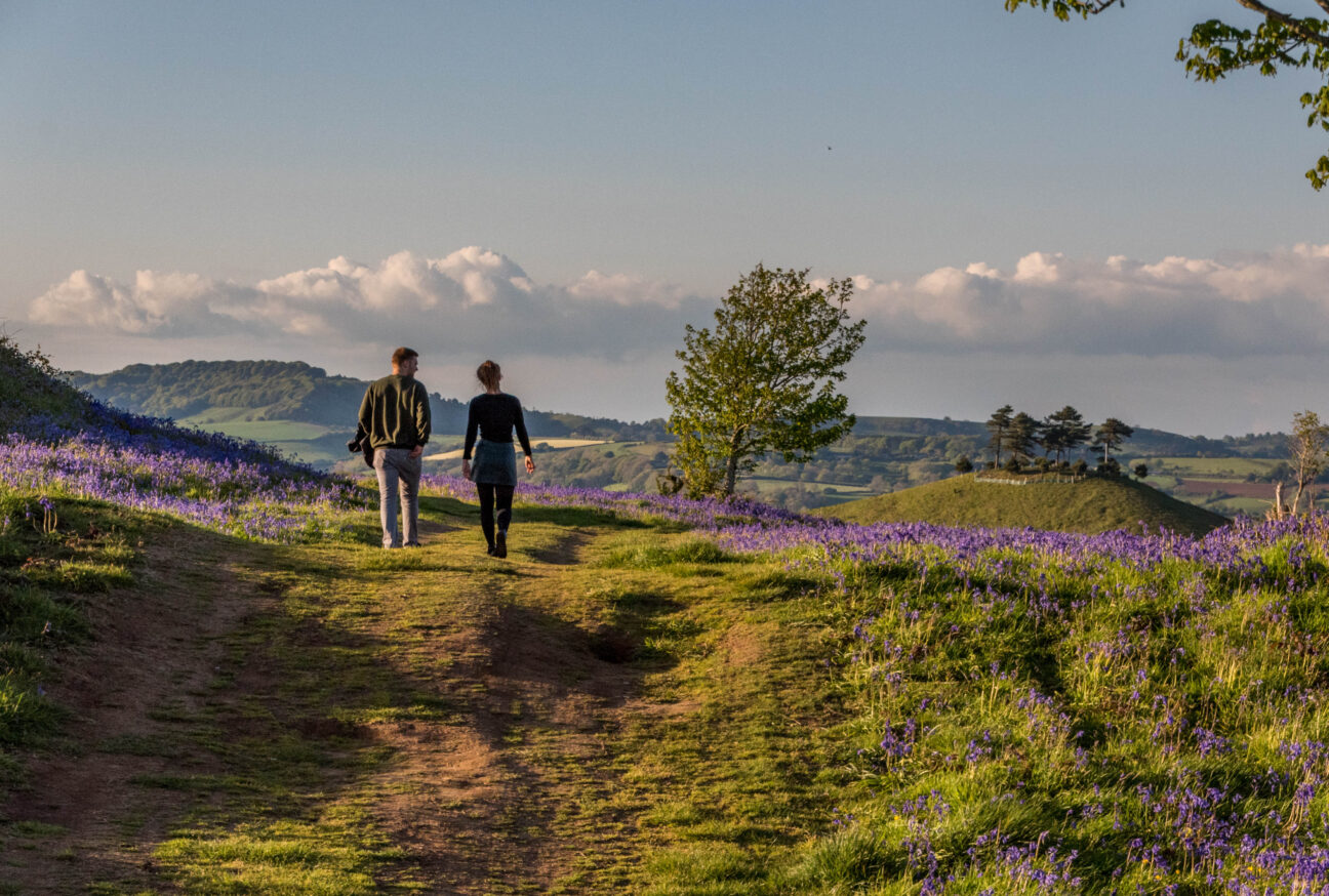 walking through bluebells over looking colmers hill