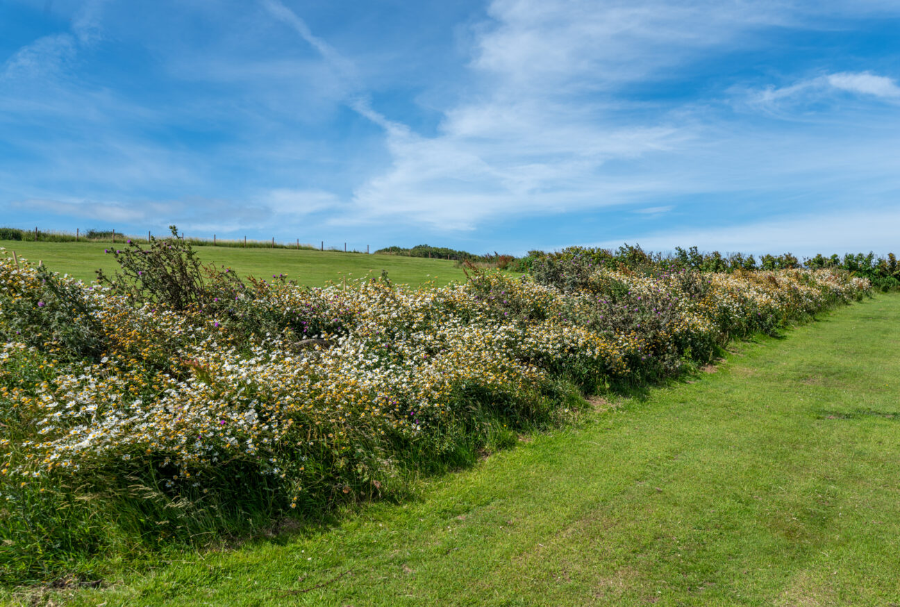 West Dorset Leisure Holidays