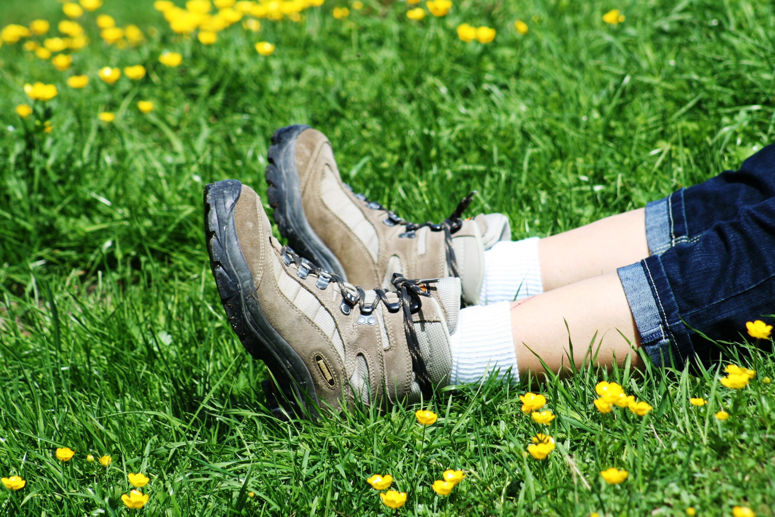 West Dorset Leisure Holidays