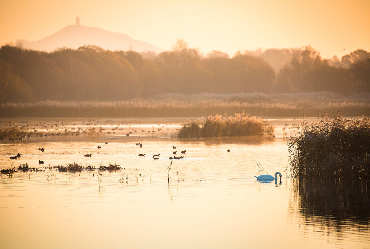 West Dorset Leisure Holidays