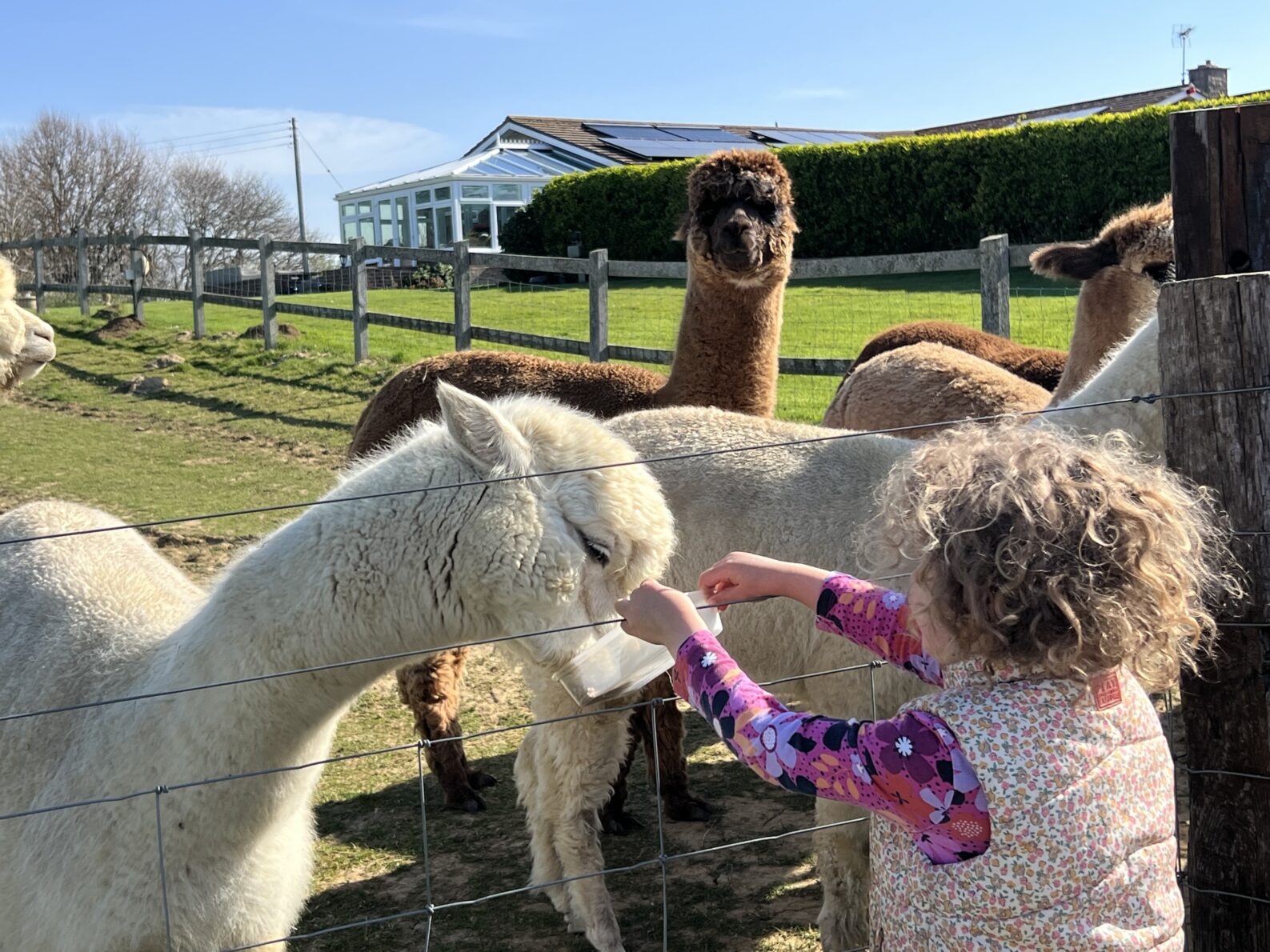 West Dorset Leisure Holidays