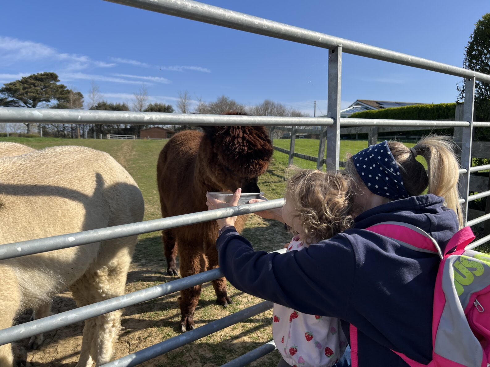 West Dorset Leisure Holidays