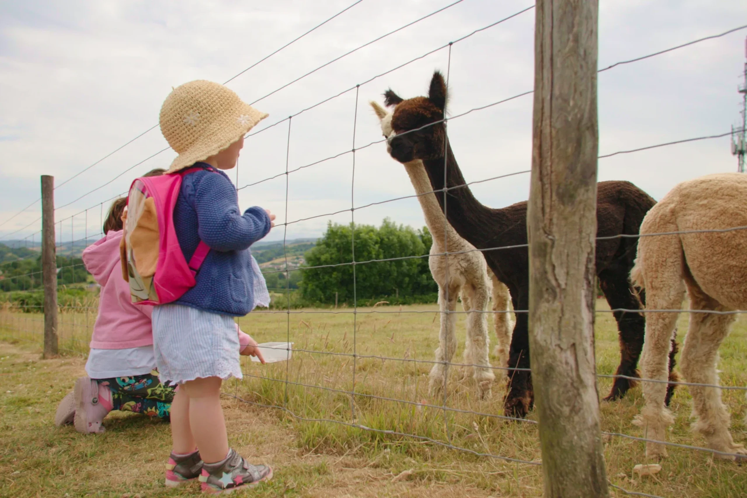 West Dorset Leisure Holidays