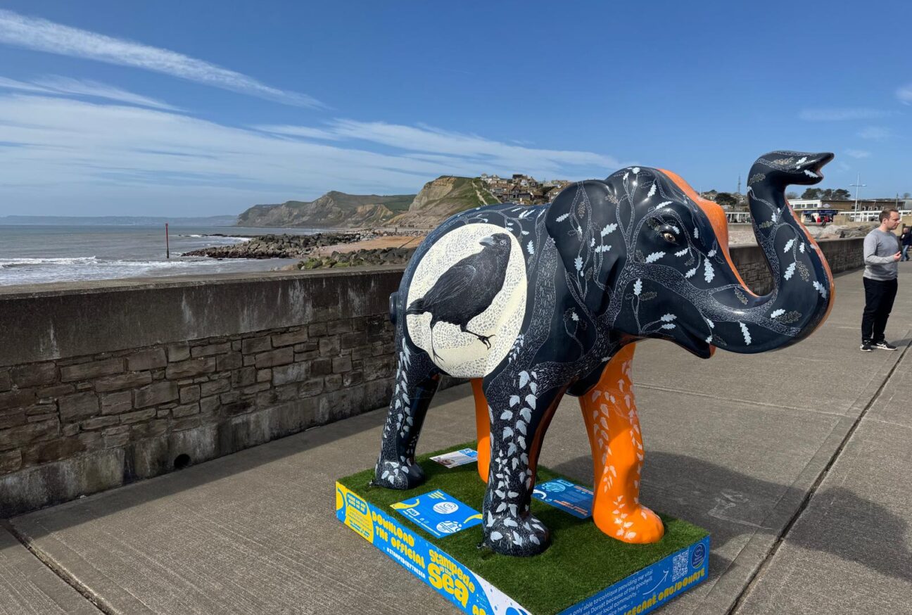 West Dorset Leisure Holidays