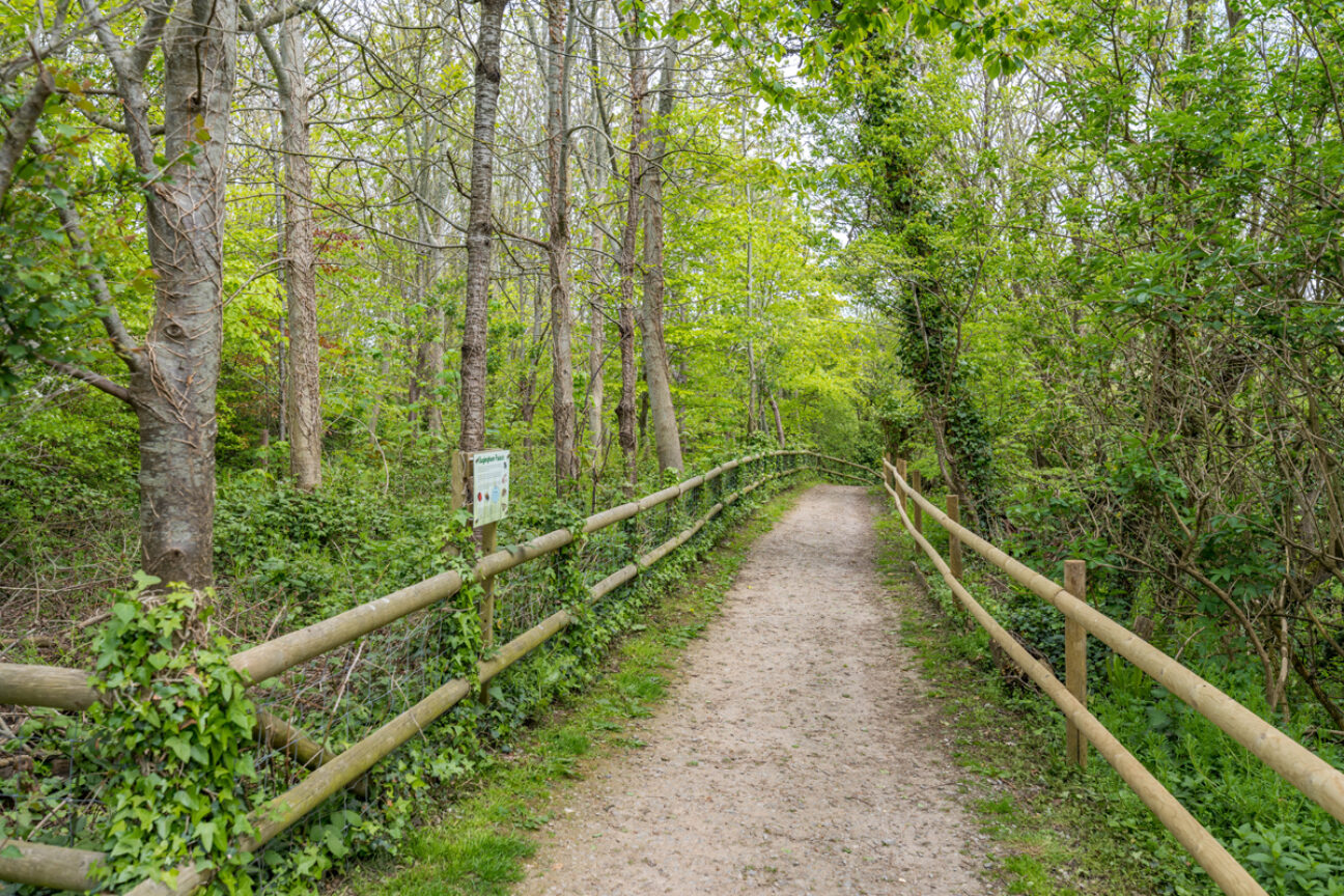 West Dorset Leisure Holidays