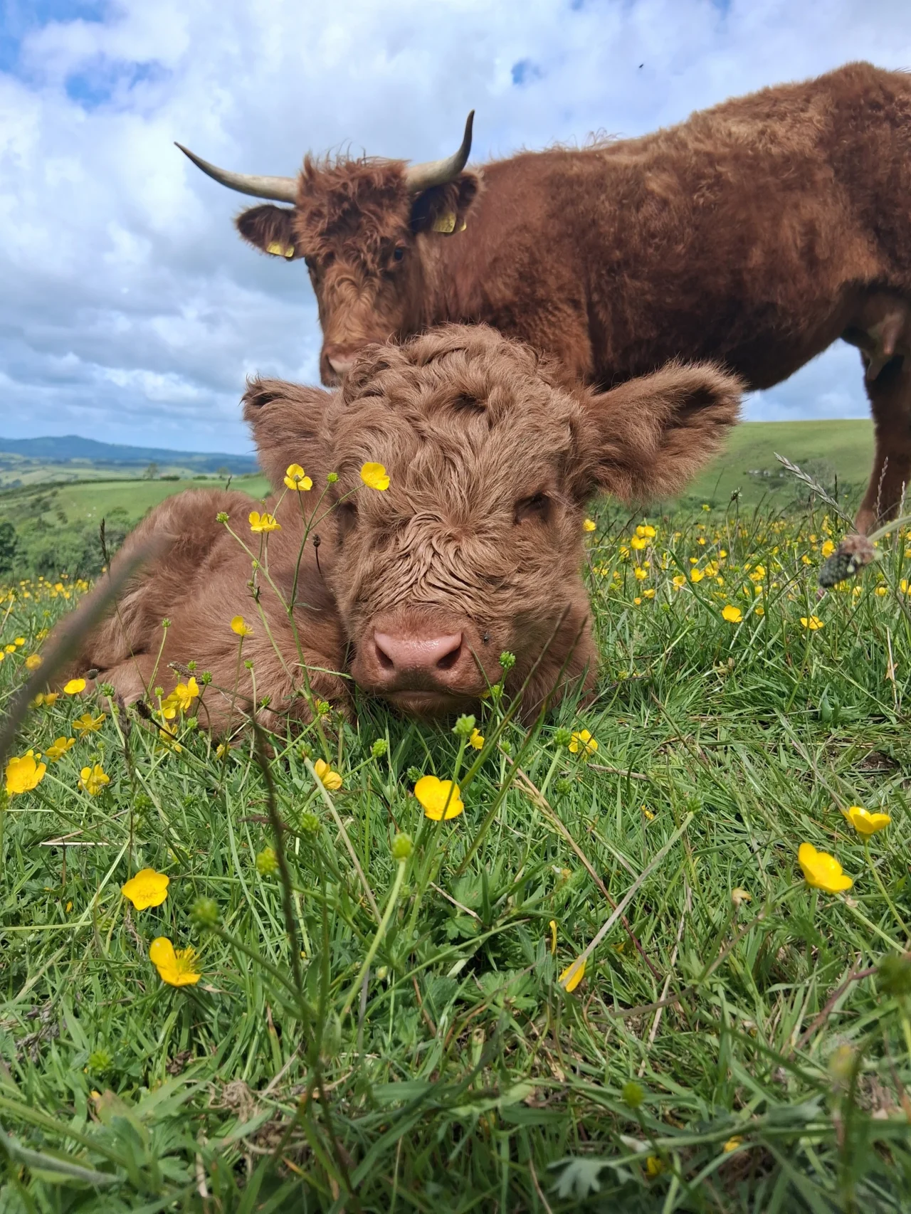 West Dorset Leisure Holidays