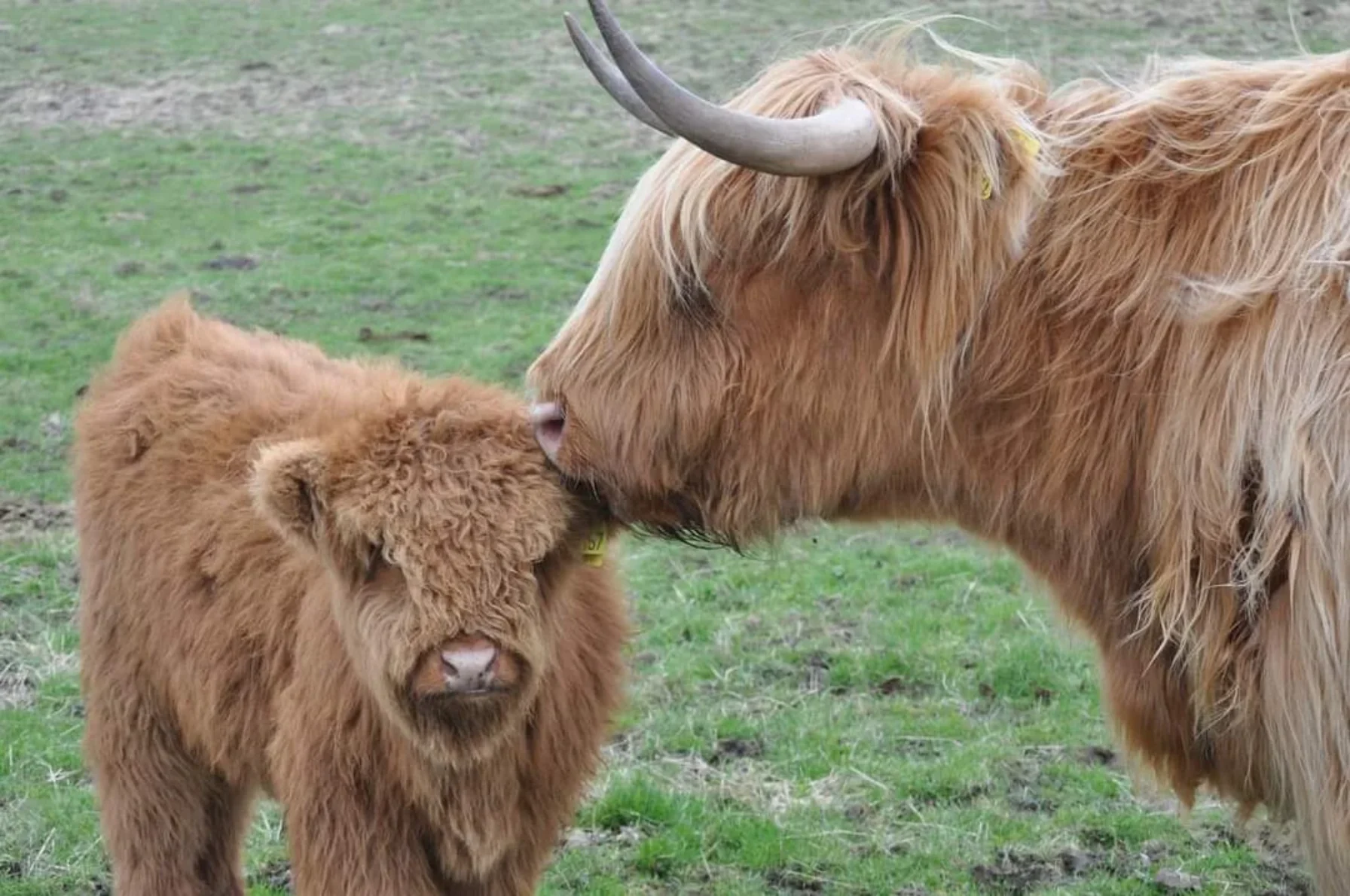 West Dorset Leisure Holidays