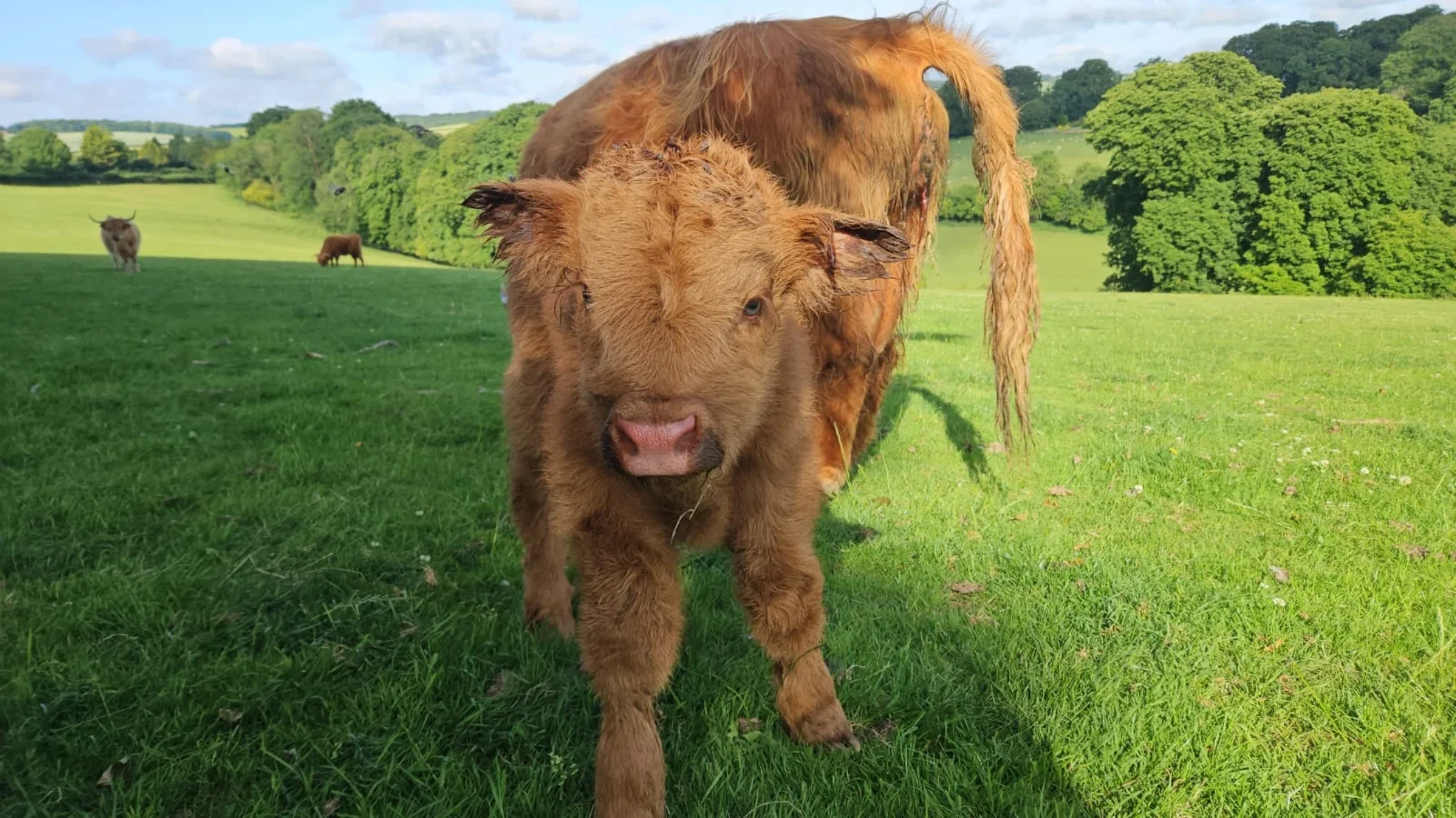 West Dorset Leisure Holidays