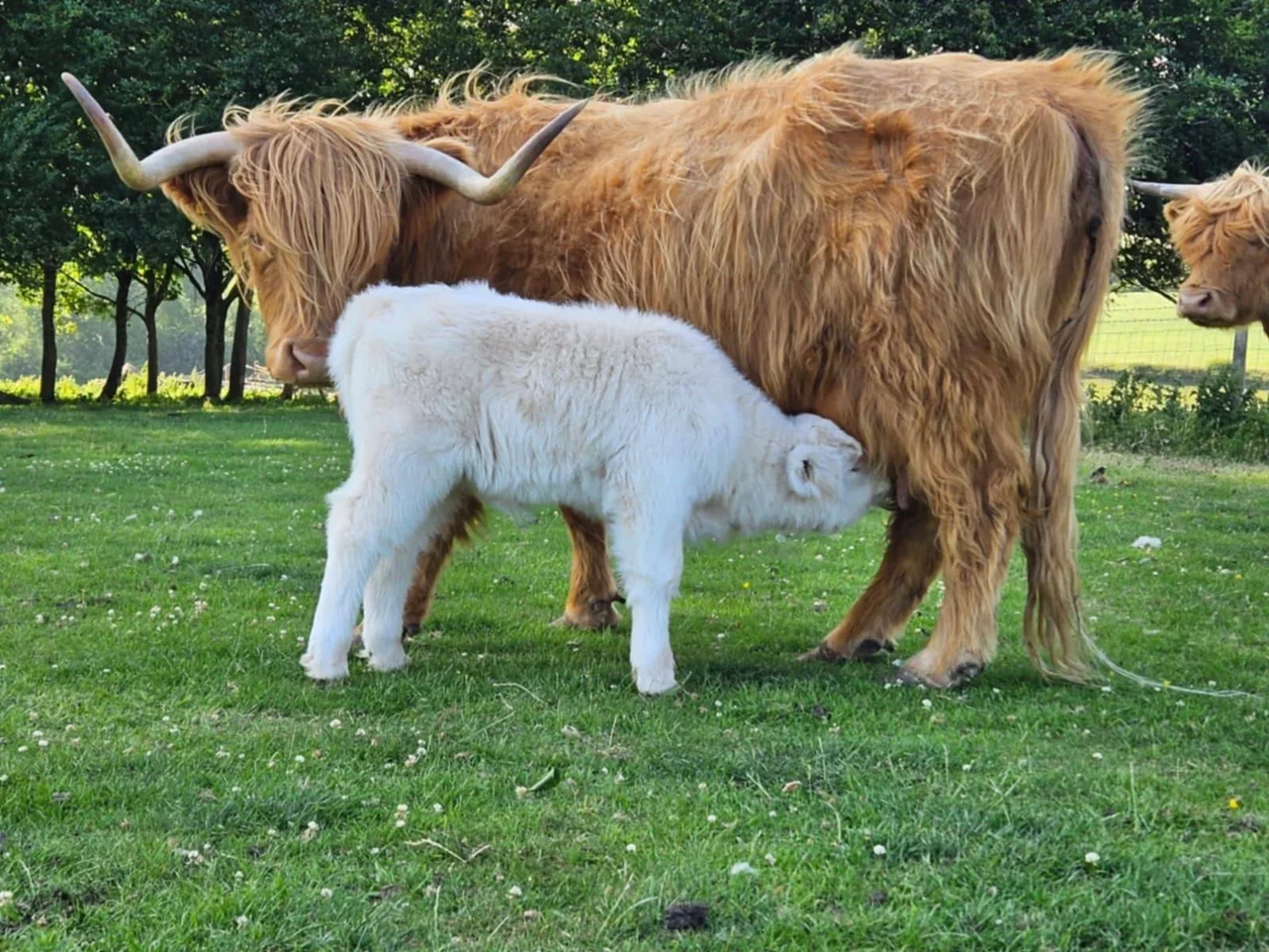 West Dorset Leisure Holidays