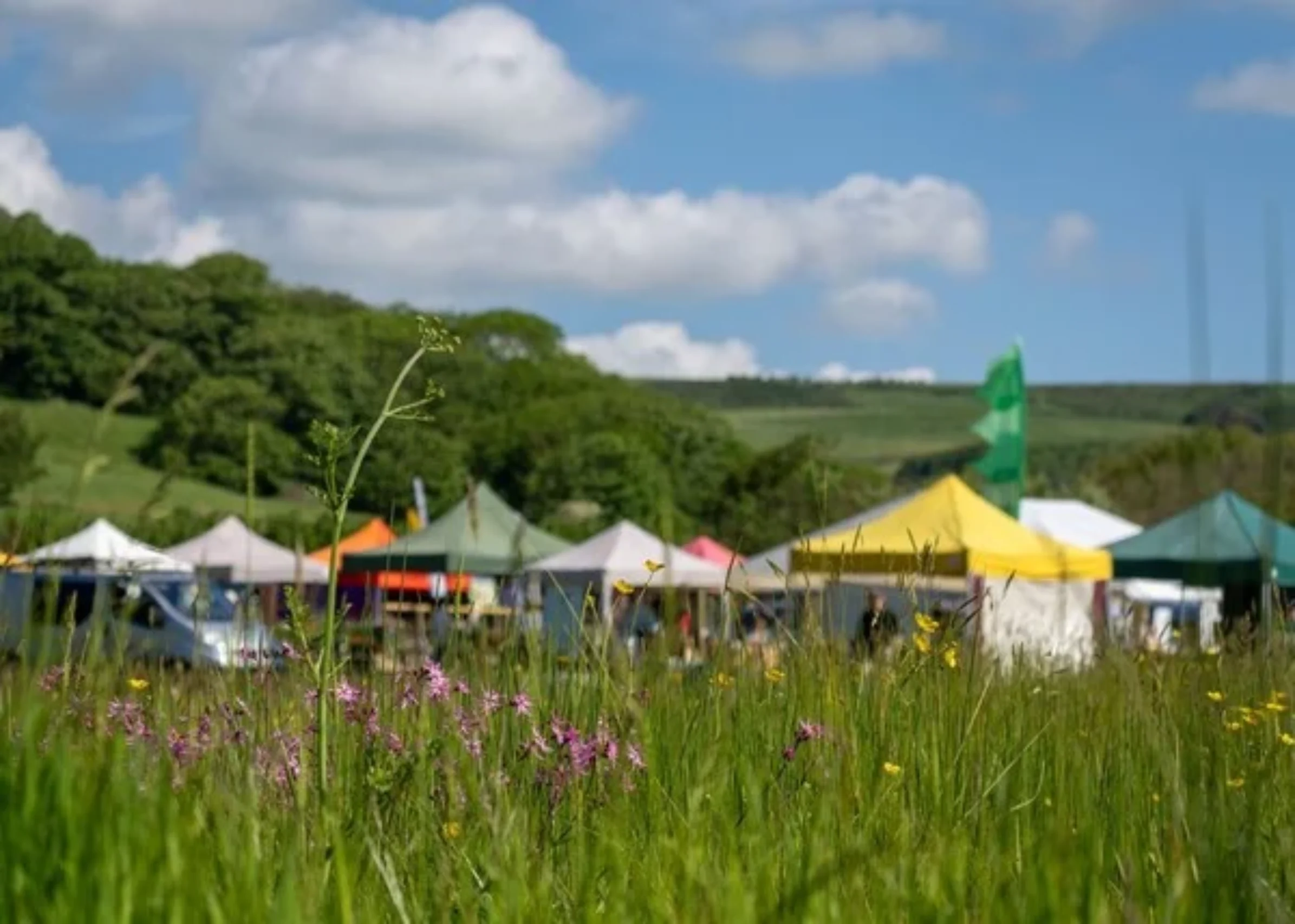 West Dorset Leisure Holidays