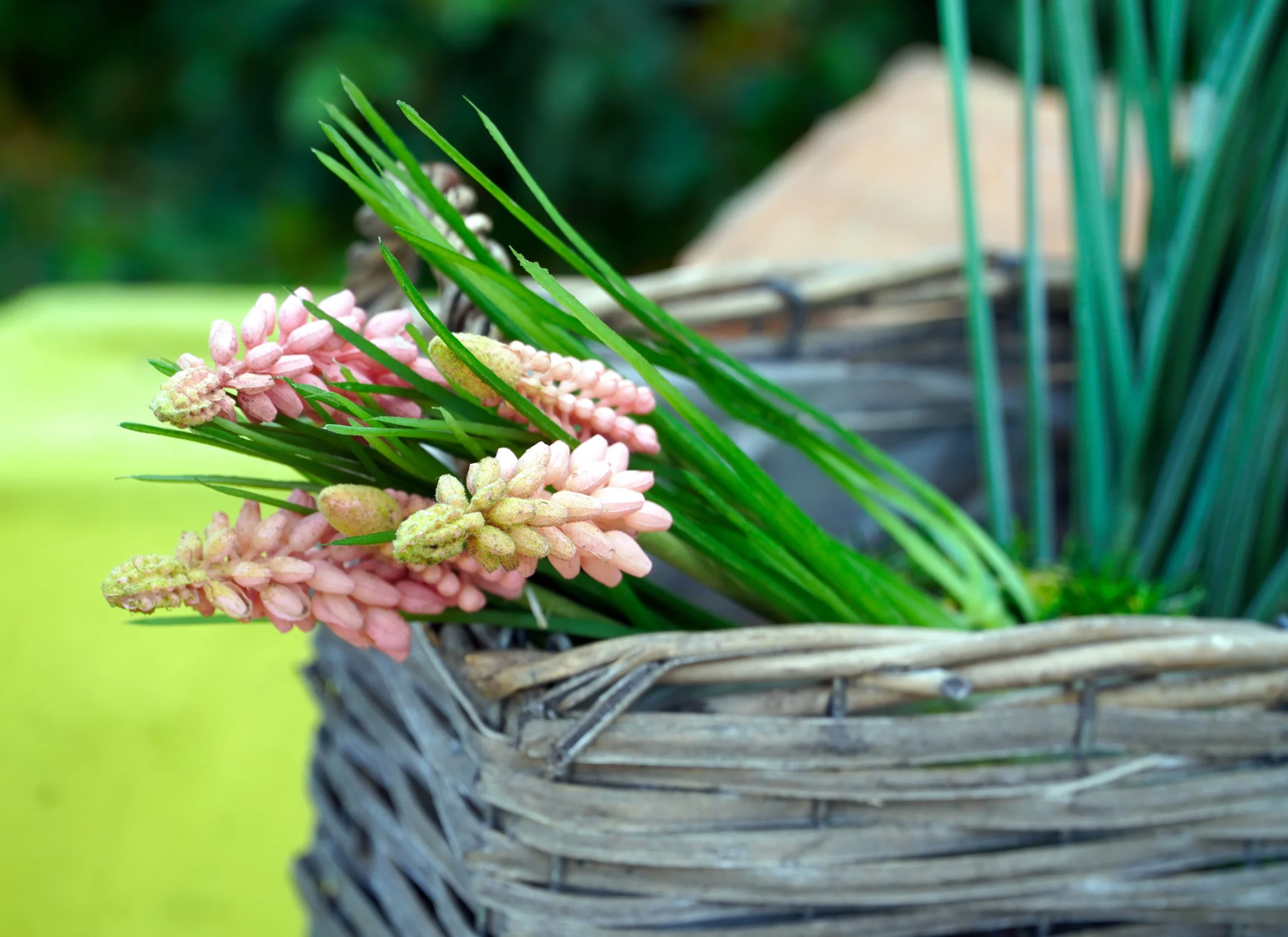 West Dorset Leisure Holidays