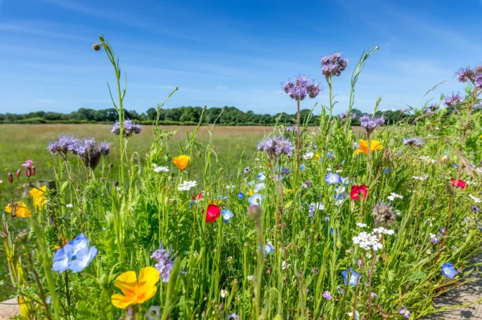 West Dorset Leisure Holidays