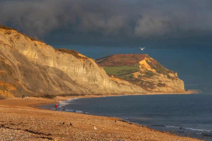 West Dorset Leisure Holidays
